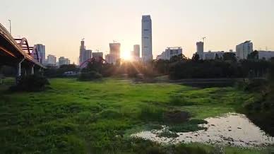 4K城市朝阳湿地公园航拍视频的预览图